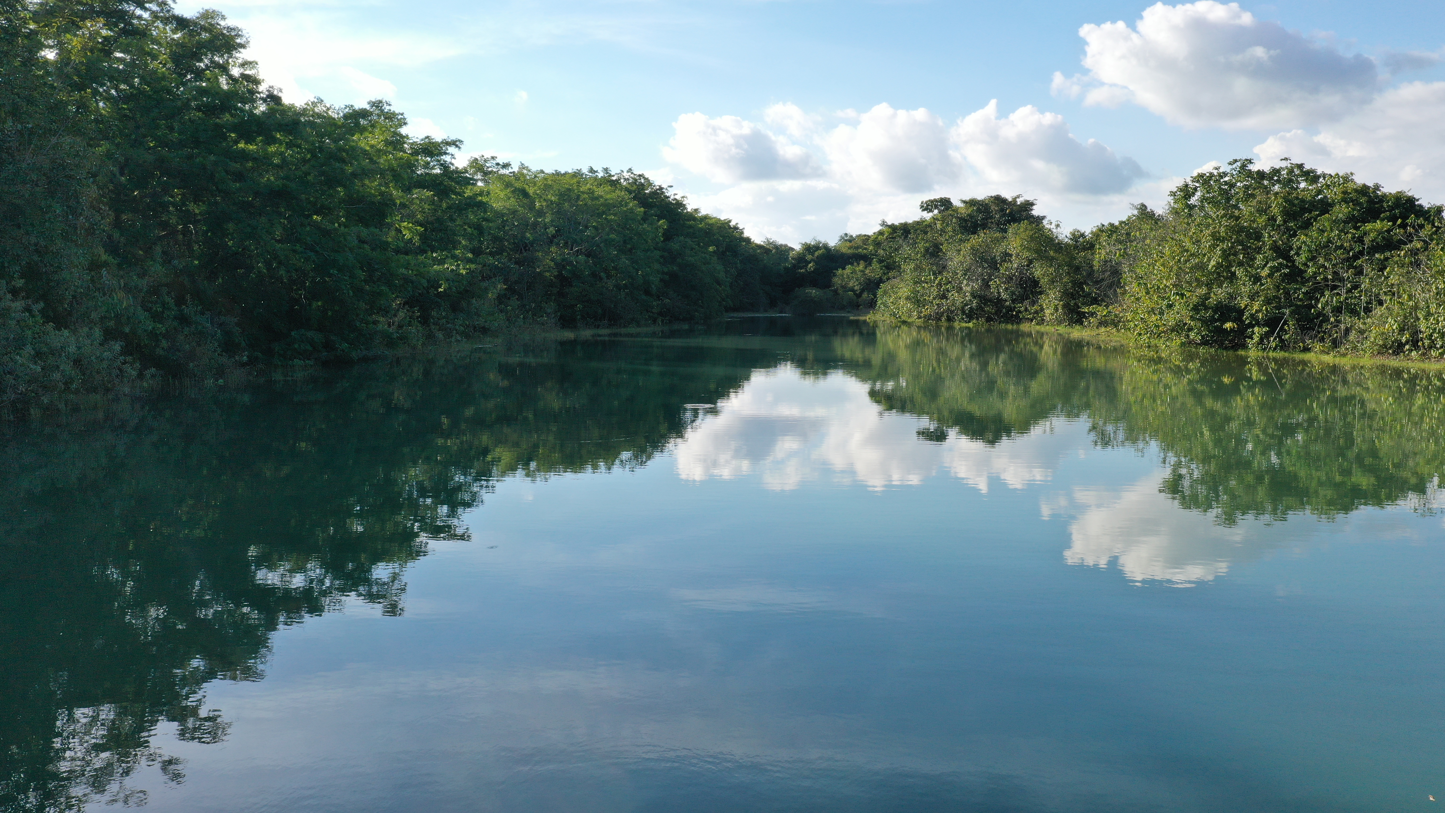 Área verde